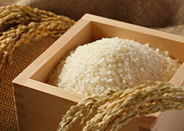 쓰시마 특유의 기후로 재배한 맛있는 쌀